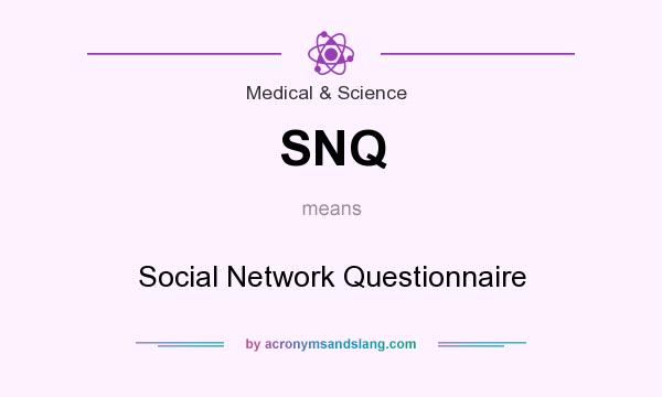 What does SNQ mean? It stands for Social Network Questionnaire