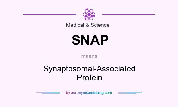 What does SNAP mean? It stands for Synaptosomal-Associated Protein