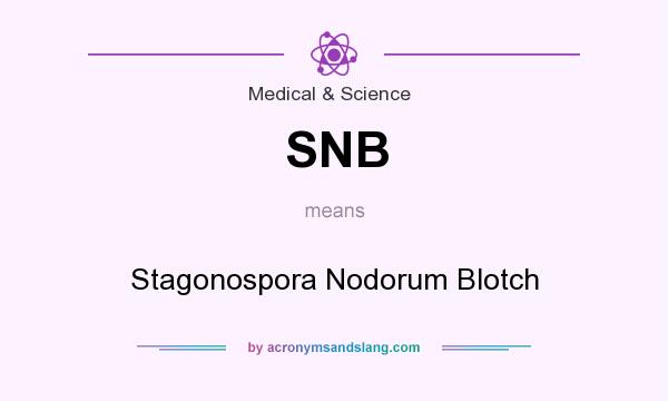 What does SNB mean? It stands for Stagonospora Nodorum Blotch