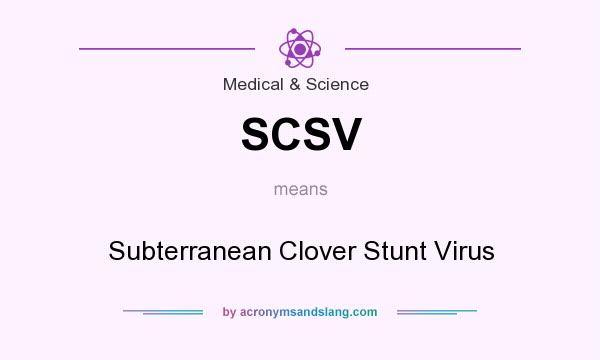 What does SCSV mean? It stands for Subterranean Clover Stunt Virus
