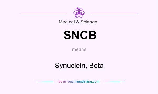 What does SNCB mean? It stands for Synuclein, Beta