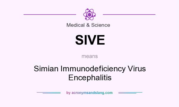 What does SIVE mean? It stands for Simian Immunodeficiency Virus Encephalitis