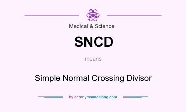 What does SNCD mean? It stands for Simple Normal Crossing Divisor