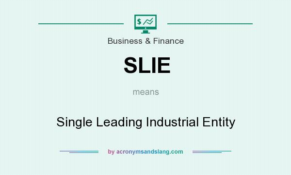What does SLIE mean? It stands for Single Leading Industrial Entity