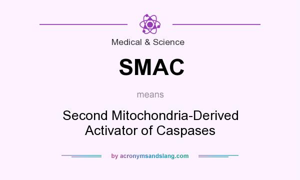 What does SMAC mean? It stands for Second Mitochondria-Derived Activator of Caspases