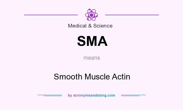 What does SMA mean? It stands for Smooth Muscle Actin
