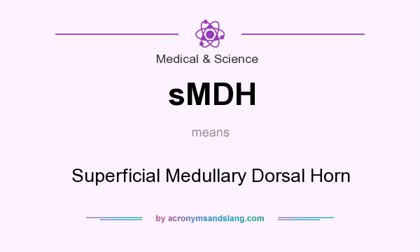 What does sMDH mean? It stands for Superficial Medullary Dorsal Horn