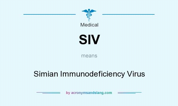 What does SIV mean? It stands for Simian Immunodeficiency Virus