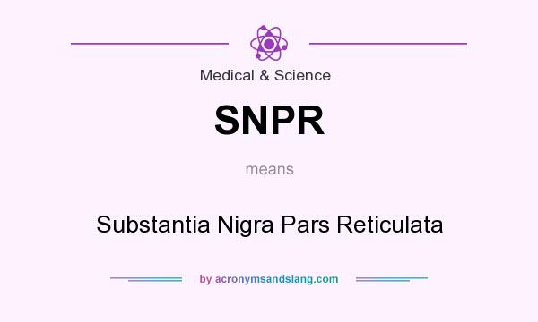 What does SNPR mean? It stands for Substantia Nigra Pars Reticulata