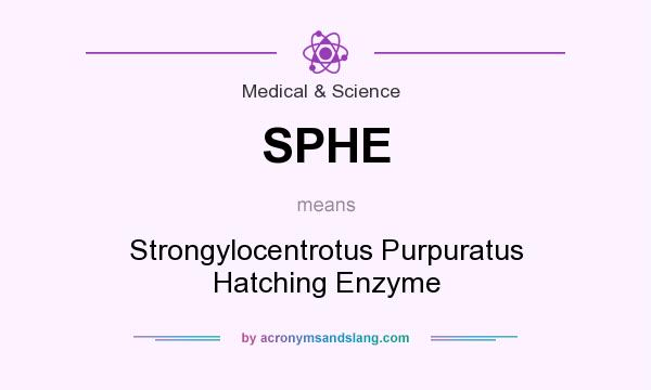 What does SPHE mean? It stands for Strongylocentrotus Purpuratus Hatching Enzyme