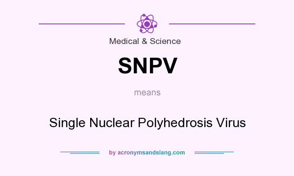 What does SNPV mean? It stands for Single Nuclear Polyhedrosis Virus