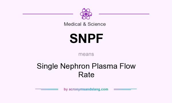 What does SNPF mean? It stands for Single Nephron Plasma Flow Rate