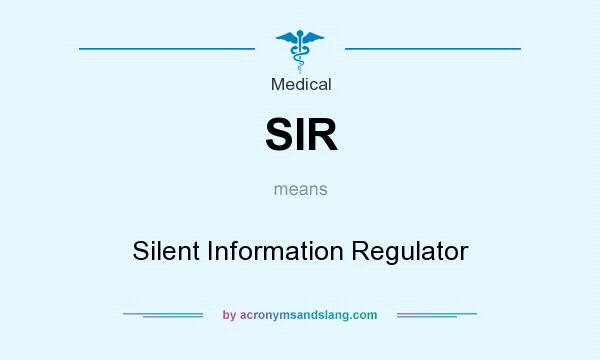 What does SIR mean? It stands for Silent Information Regulator