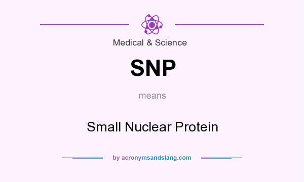 What does SNP mean? It stands for Small Nuclear Protein