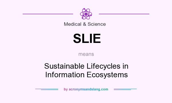 What does SLIE mean? It stands for Sustainable Lifecycles in Information Ecosystems