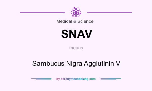What does SNAV mean? It stands for Sambucus Nigra Agglutinin V