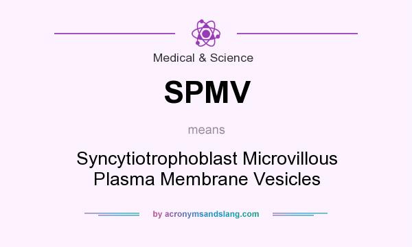 What does SPMV mean? It stands for Syncytiotrophoblast Microvillous Plasma Membrane Vesicles