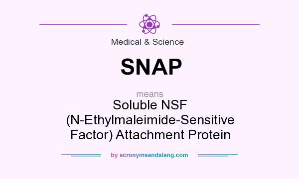What does SNAP mean? It stands for Soluble NSF (N-Ethylmaleimide-Sensitive Factor) Attachment Protein