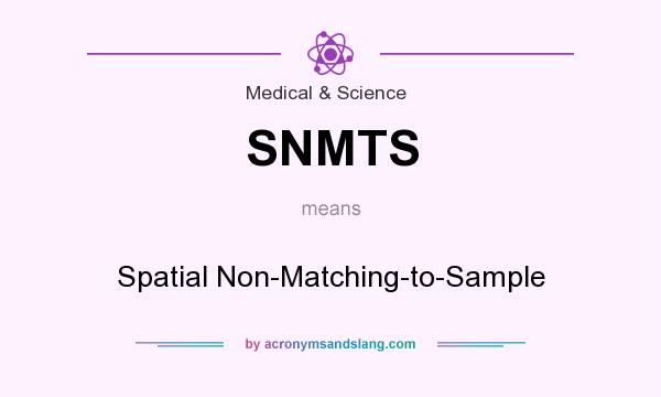 What does SNMTS mean? It stands for Spatial Non-Matching-to-Sample