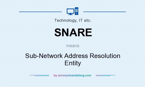 What does SNARE mean? It stands for Sub-Network Address Resolution Entity