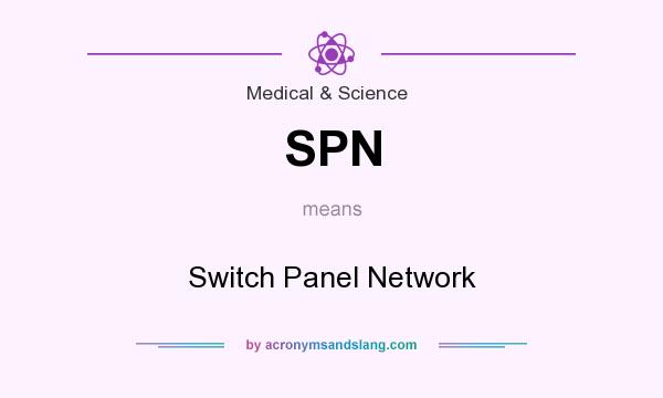 What does SPN mean? It stands for Switch Panel Network