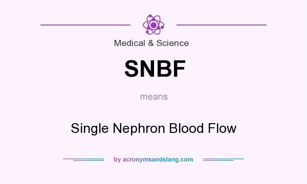 What does SNBF mean? It stands for Single Nephron Blood Flow