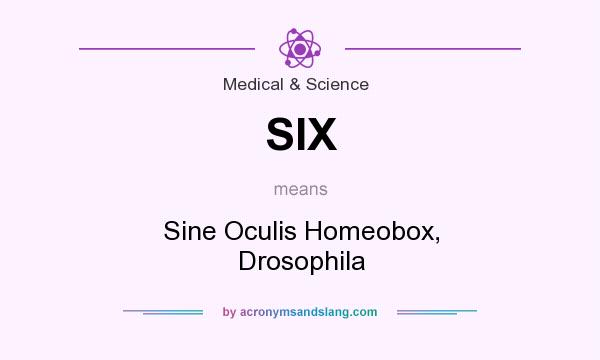 What does SIX mean? It stands for Sine Oculis Homeobox, Drosophila
