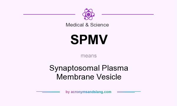 What does SPMV mean? It stands for Synaptosomal Plasma Membrane Vesicle