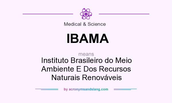 What does IBAMA mean? It stands for Instituto Brasileiro do Meio Ambiente E Dos Recursos Naturais Renováveis