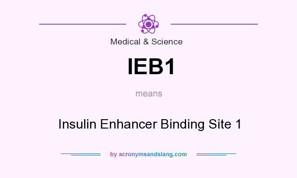 What does IEB1 mean? It stands for Insulin Enhancer Binding Site 1