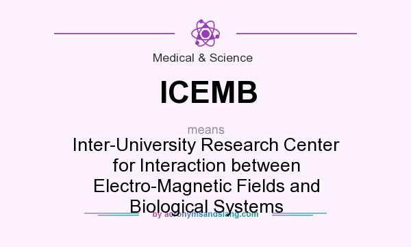 What does ICEMB mean? It stands for Inter-University Research Center for Interaction between Electro-Magnetic Fields and Biological Systems