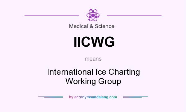 What does IICWG mean? It stands for International Ice Charting Working Group