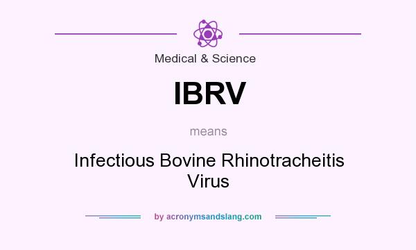 What does IBRV mean? It stands for Infectious Bovine Rhinotracheitis Virus