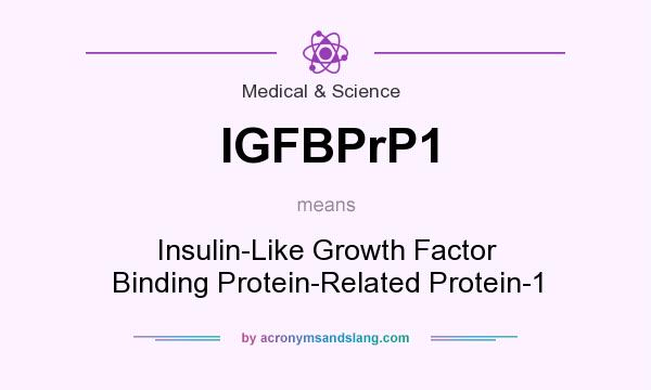 What does IGFBPrP1 mean? It stands for Insulin-Like Growth Factor Binding Protein-Related Protein-1