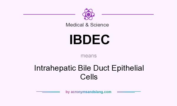 What does IBDEC mean? It stands for Intrahepatic Bile Duct Epithelial Cells