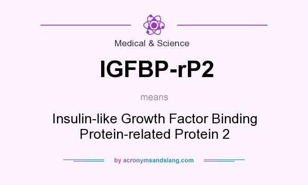 What does IGFBP-rP2 mean? It stands for Insulin-like Growth Factor Binding Protein-related Protein 2