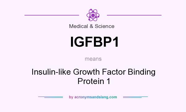 What does IGFBP1 mean? It stands for Insulin-like Growth Factor Binding Protein 1
