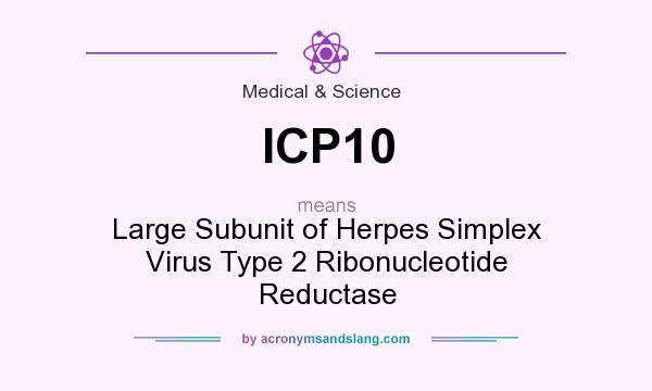 What does ICP10 mean? It stands for Large Subunit of Herpes Simplex Virus Type 2 Ribonucleotide Reductase