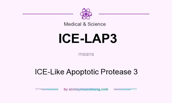 What does ICE-LAP3 mean? It stands for ICE-Like Apoptotic Protease 3