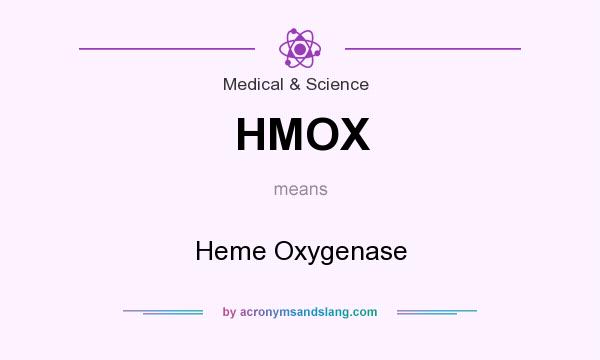 What does HMOX mean? It stands for Heme Oxygenase