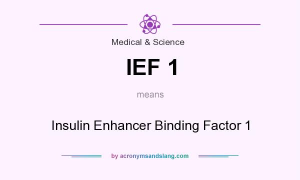 What does IEF 1 mean? It stands for Insulin Enhancer Binding Factor 1
