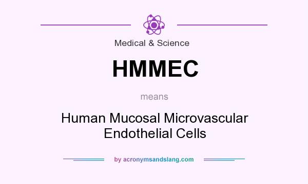 What does HMMEC mean? It stands for Human Mucosal Microvascular Endothelial Cells