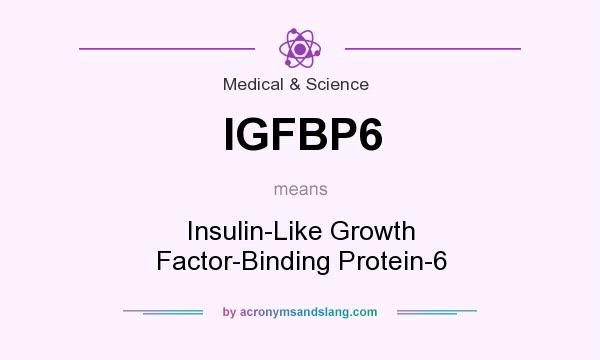 What does IGFBP6 mean? It stands for Insulin-Like Growth Factor-Binding Protein-6