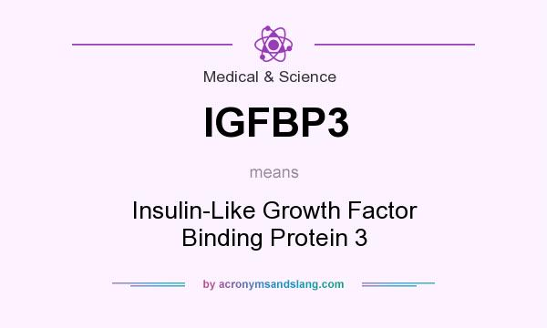 What does IGFBP3 mean? It stands for Insulin-Like Growth Factor Binding Protein 3