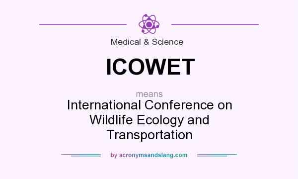 What does ICOWET mean? It stands for International Conference on Wildlife Ecology and Transportation