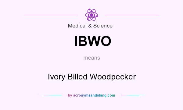What does IBWO mean? It stands for Ivory Billed Woodpecker