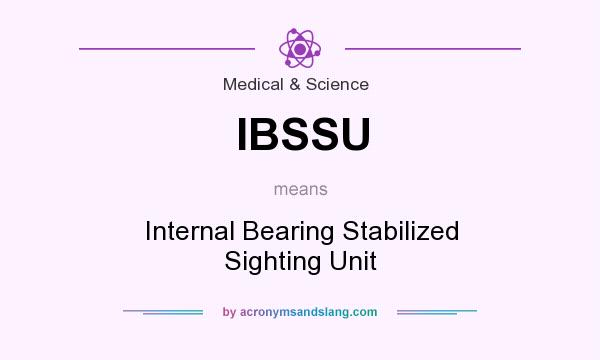What does IBSSU mean? It stands for Internal Bearing Stabilized Sighting Unit