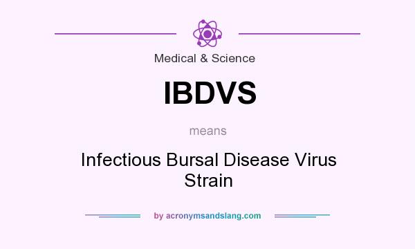 What does IBDVS mean? It stands for Infectious Bursal Disease Virus Strain