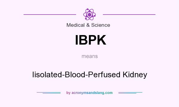 What does IBPK mean? It stands for Iisolated-Blood-Perfused Kidney