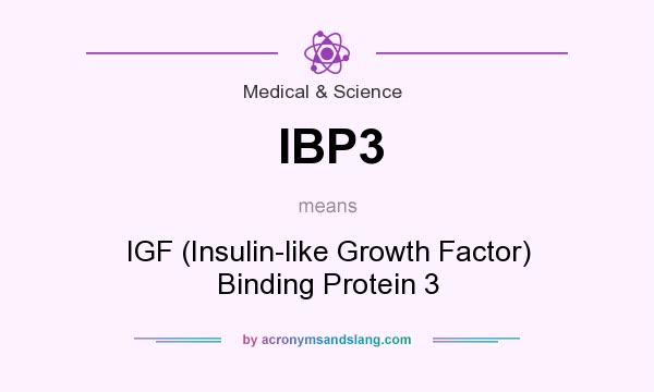 What does IBP3 mean? It stands for IGF (Insulin-like Growth Factor) Binding Protein 3
